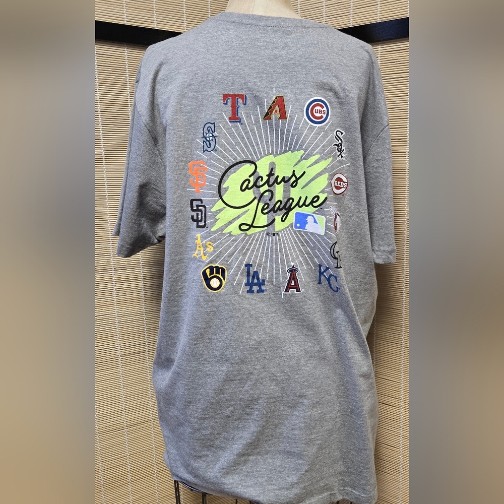 47 Brand Cactus League Gray Tee